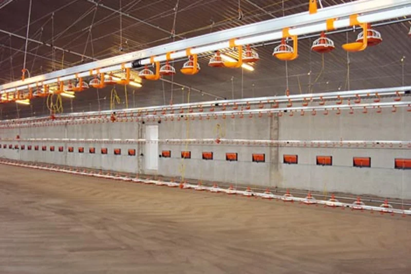 Worldwide coveted technology for successful broiler production: poultry equipment from Big Dutchman Worldwide coveted technology for successful broiler production: poultry equipment from Big Dutchman