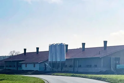 Nouveau bâtiment pour l'élevage de poulets de chair bio Nouveau bâtiment pour l'élevage de poulets de chair bio