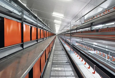 NATURANova Twin aviary for free range and barn egg production NATURANova Twin aviary for free range and barn egg production