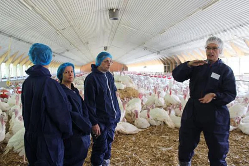 Besucher werden durch die Putenhaltung geführt 