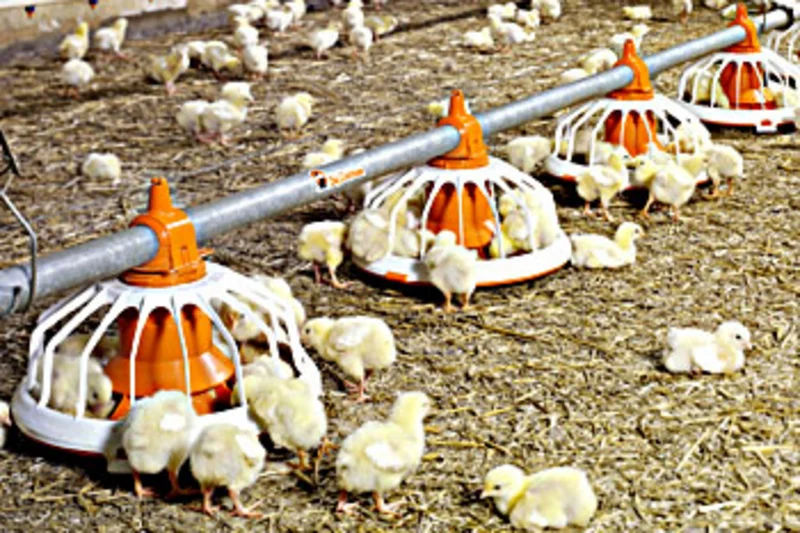 Fluxx360 – the versatile feed pan – new size Fluxx360 – the versatile feed pan – new size