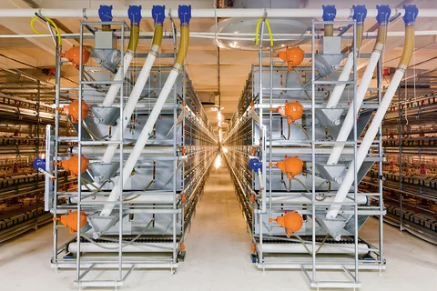 AviMax transit broiler cage