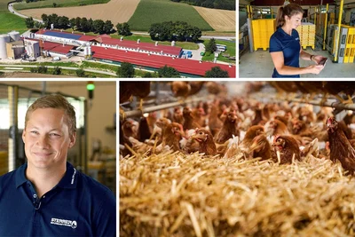 Tierwohl, Technik, Tradition – der Sterrerhof Tierwohl, Technik, Tradition – der Sterrerhof